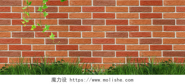 红砖墙绿草地清新文艺背景
